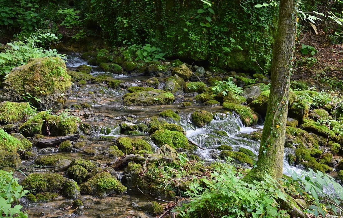 Small falls in a spectacular scene in Naature Park Papuk, Croatia